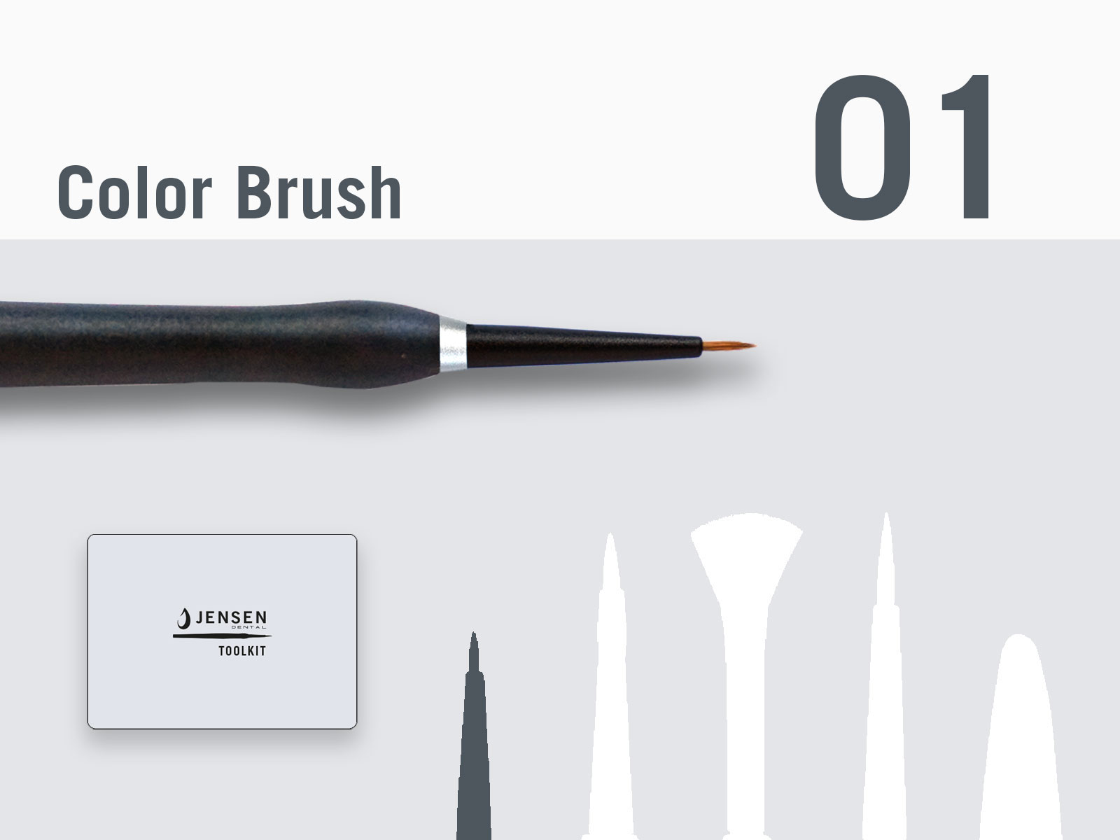 Color brush with replaceable brush tip