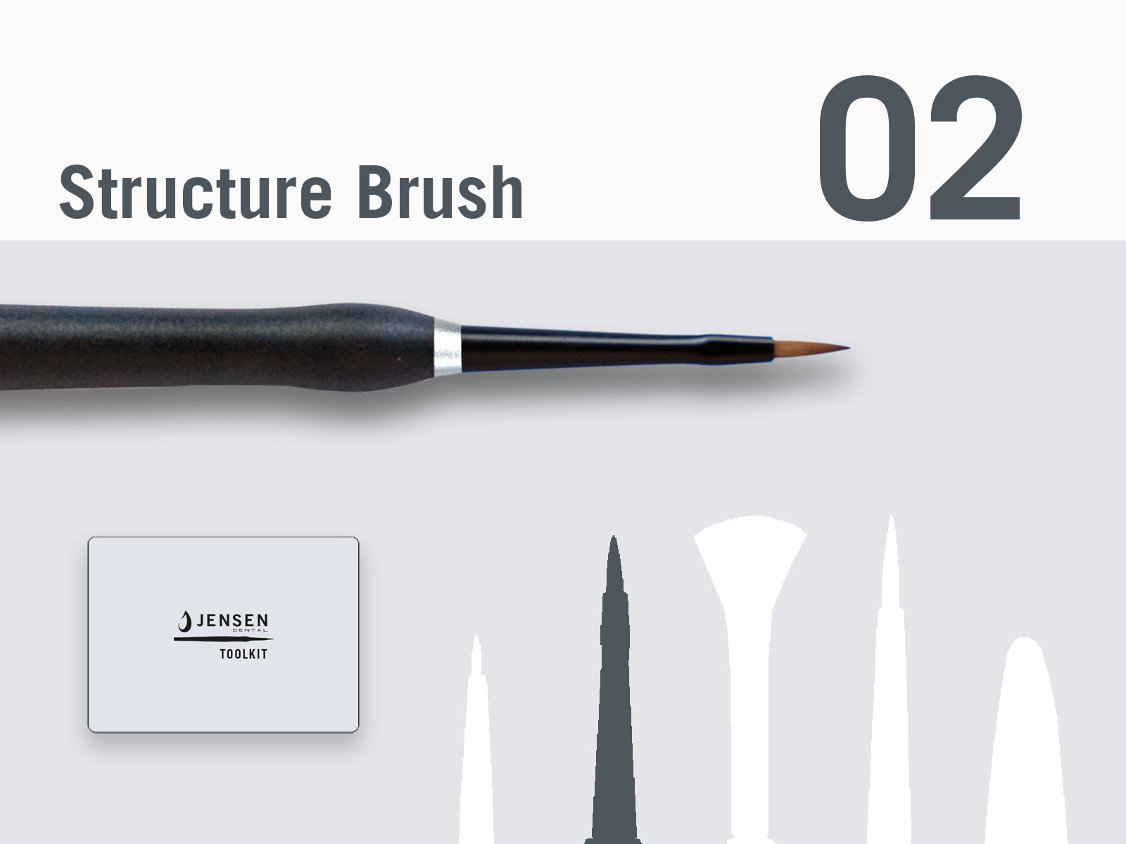 Structure brush with replaceable brush tip