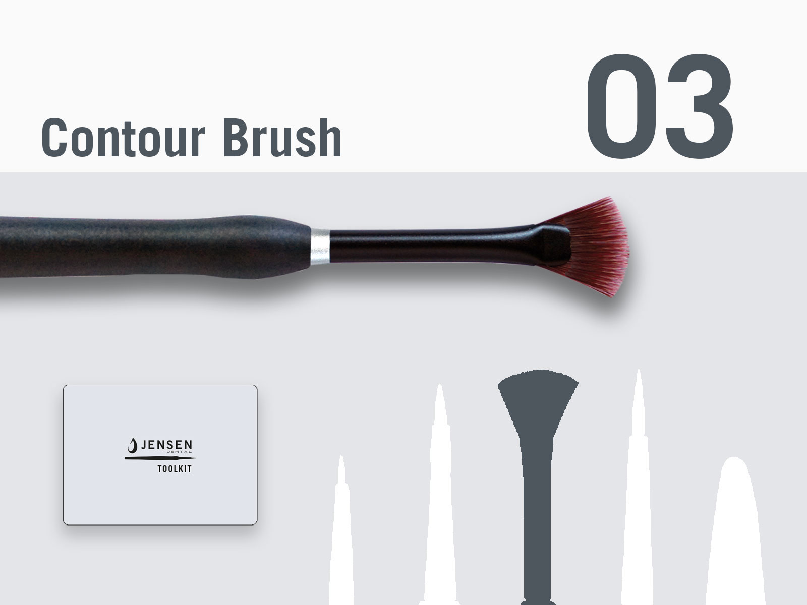 Contour brush with replaceable brush tip